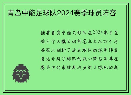 青岛中能足球队2024赛季球员阵容