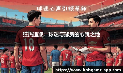 狂热追逐：球迷与球员的心跳之地